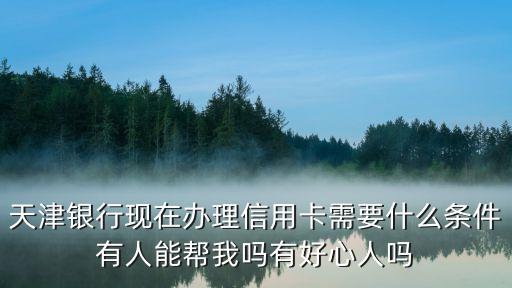 天津銀行現(xiàn)在辦理信用卡需要什么條件有人能幫我嗎有好心人嗎
