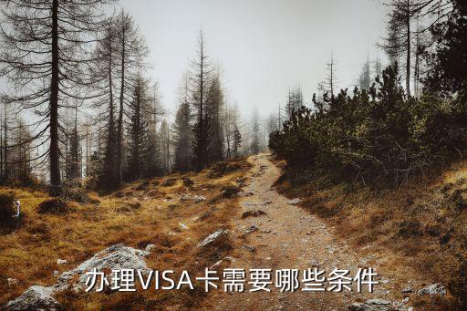 辦理VISA卡需要哪些條件