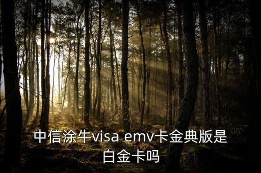 中信涂牛visa emv卡金典版是白金卡嗎