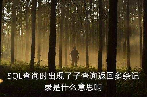 查詢有點多是什么意思，思埠官網(wǎng)查出來 查詢次數(shù)過多什么意思