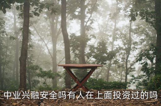 中業(yè)興融是做什么的，好像聽說中業(yè)興融專業(yè)度很高