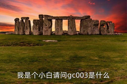 我是個(gè)小白請(qǐng)問gc003是什么