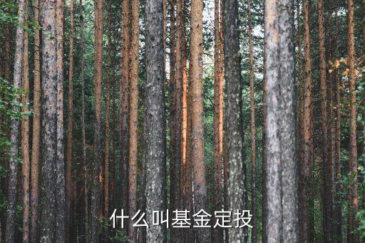 什么叫基金定投