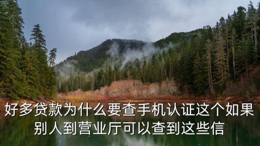 貸款手機(jī)認(rèn)證查什么資料嗎，在網(wǎng)上辦理貸款實(shí)名認(rèn)證能查到詳細(xì)的家庭住址嗎