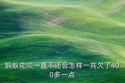 嚴(yán)重風(fēng)控是什么意思，螞蟻花唄一直不還會(huì)怎樣一共欠了400多一點(diǎn)