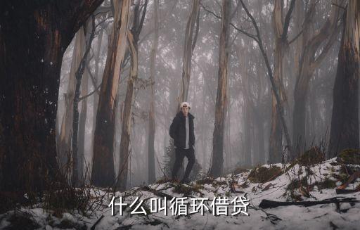 什么是循環(huán)貸款，什么是工行的個(gè)人循環(huán)貸款