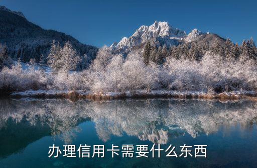 辦理信用卡要帶什么，去銀行申請信用卡需要帶什么東西