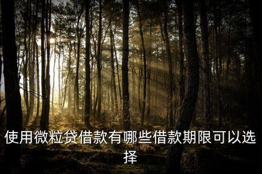 微粒貸還款期數(shù)怎么選，使用微粒貸借款有哪些借款期限可以選擇
