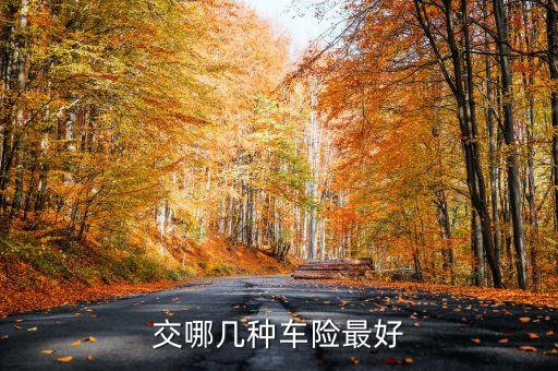 交哪幾種車(chē)險(xiǎn)最好