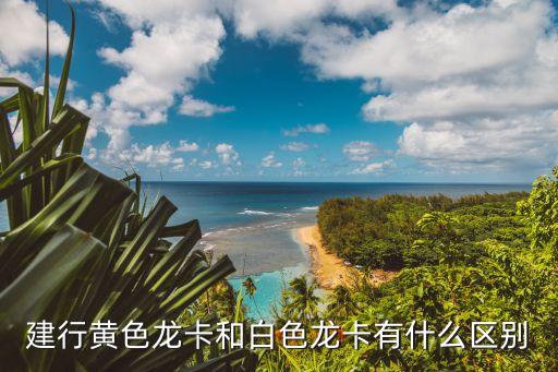 后電卡的密碼是什么顏色的，工行網(wǎng)銀怎么交費(fèi)