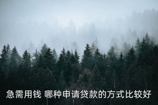 急需用錢怎么貸款，急需用錢 哪種申請貸款的方式比較好