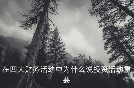 在四大財(cái)務(wù)活動(dòng)中為什么說(shuō)投資活動(dòng)重要