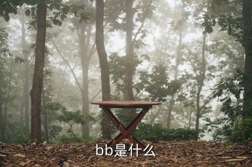 區(qū)塊鏈?zhǔn)鞘裁?，bb是什么