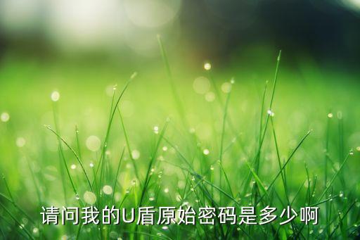 天地融二代u盾初始密碼是什么，工行的U盾校驗口令密碼是純數(shù)字還是數(shù)字加字母幾位數(shù)