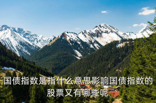 國債指數(shù)是什么意思，010303 國債是什么意思