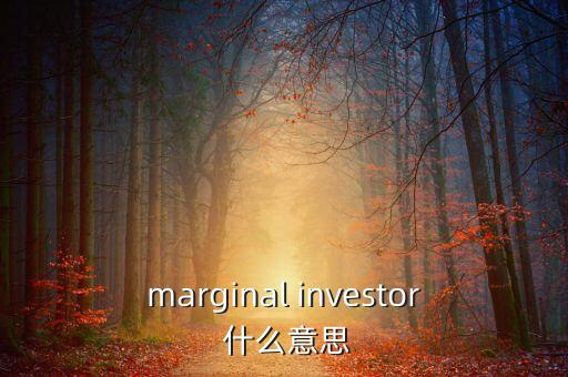 邊際投資是什么意思，marginal investor 什么意思