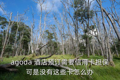 agoda 酒店預(yù)訂需要信用卡擔(dān)保可是沒有這些卡怎么辦
