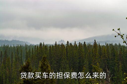 購車擔(dān)保費(fèi)是什么意思，分期付款買車的擔(dān)保費(fèi)信用擔(dān)保費(fèi)