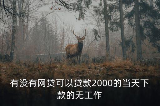 有沒有網(wǎng)貸可以貸款2000的當天下款的無工作