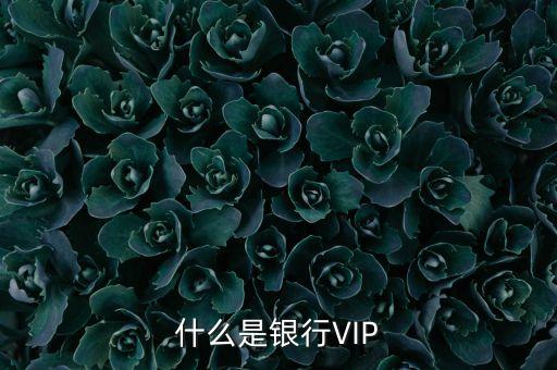什么是銀行VIP