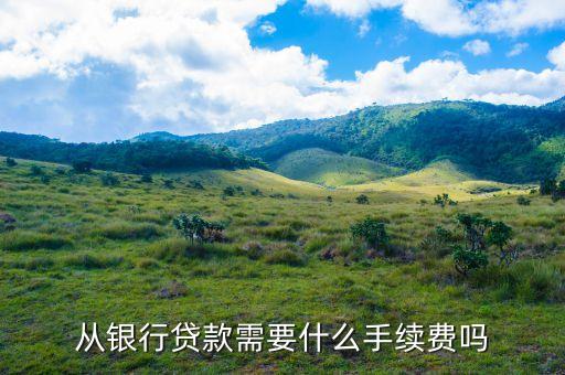 從銀行貸款需要什么手續(xù)費(fèi)嗎