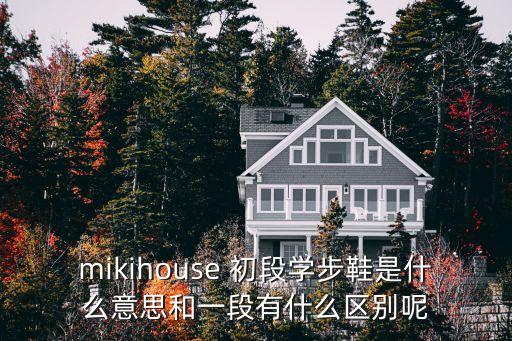 工銀愛車plus什么區(qū)別，mikihouse 初段學步鞋是什么意思和一段有什么區(qū)別呢