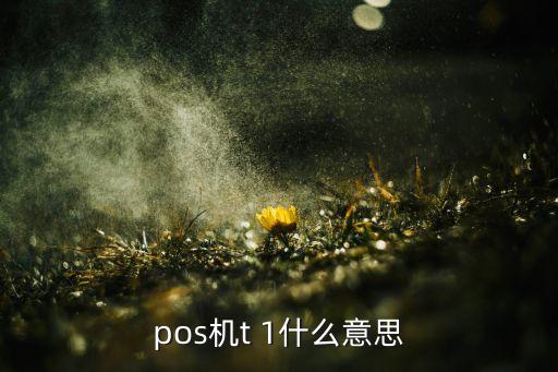 pos機t 1什么意思
