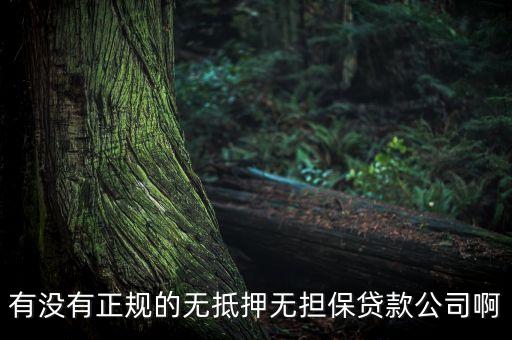 信用免擔(dān)保是什么公司，貸款公司哪個信譽好而且不需要擔(dān)保抵押的