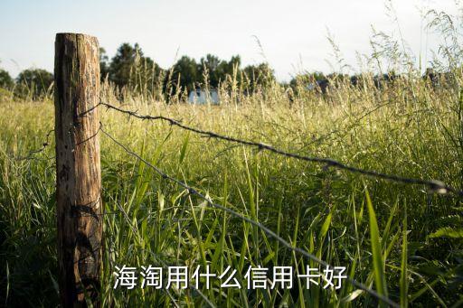 海淘時用什么信用卡支付，海淘用哪種信用卡或支付方式好