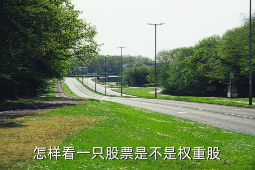 什么是權(quán)重股，權(quán)重股與小盤股的區(qū)別在那兒我想數(shù)下有多少權(quán)重股有多少小盤股