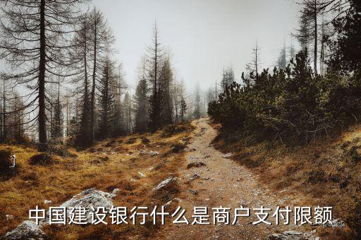 中國建設(shè)銀行什么是商戶支付限額