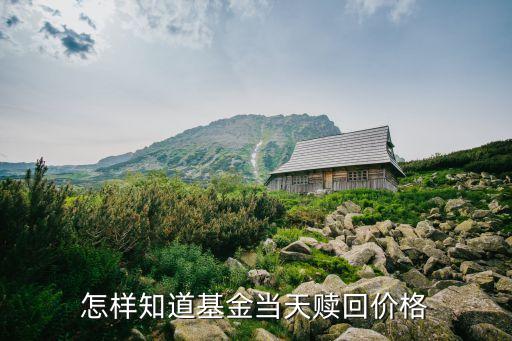 怎樣知道基金當(dāng)天贖回價(jià)格