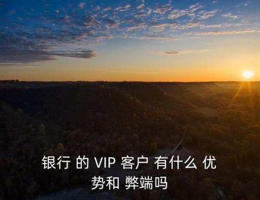 銀行 的 VIP 客戶 有什么 優(yōu)勢和 弊端嗎