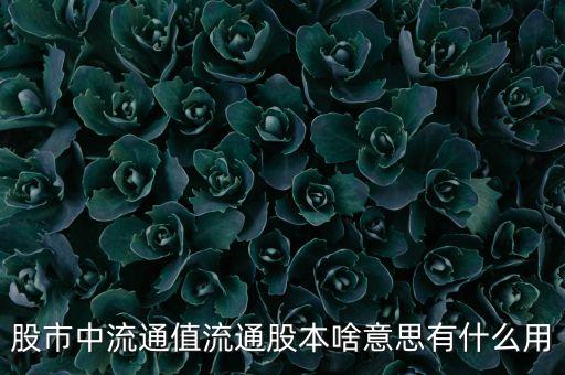 股市中流通值流通股本啥意思有什么用