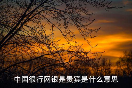 中國很行網銀是貴賓是什么意思