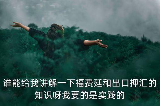誰能給我講解一下福費廷和出口押匯的知識呀我要的是實踐的