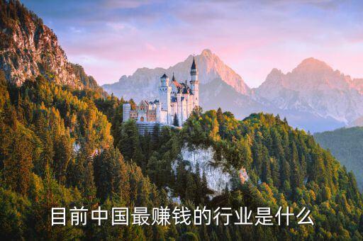 中國什么最直錢，目前中國最賺錢的行業(yè)是什么