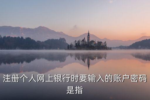 注冊個人網(wǎng)上銀行時要輸入的賬戶密碼是指