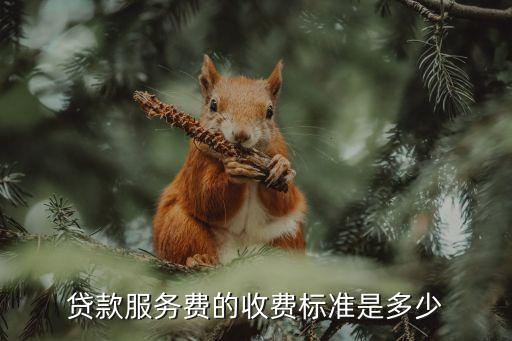 貸款服務費的收費標準是多少