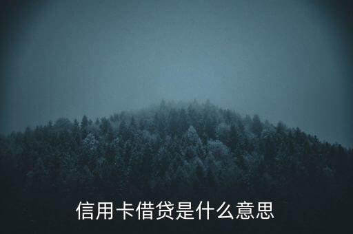 信用借還是什么意思是什么意思，信用卡借貸是什么意思