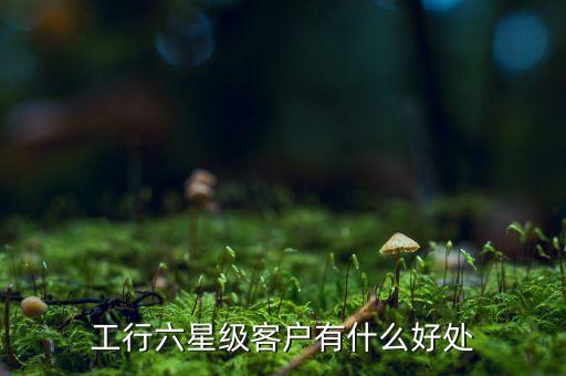 工行六星級(jí)客戶有什么好處