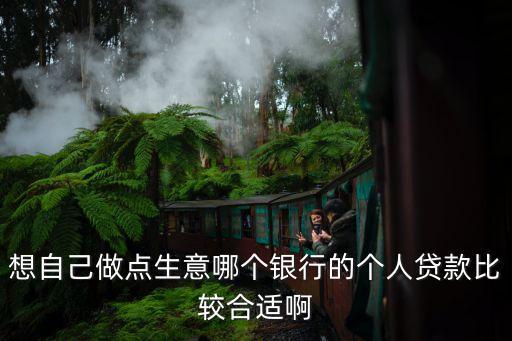 想自己做點生意哪個銀行的個人貸款比較合適啊