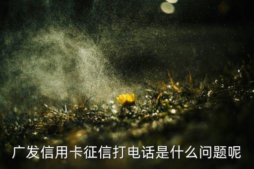 廣發(fā)征信問什么意思，廣發(fā)信用卡征信打電話是什么問題呢