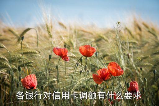 信用卡提高額度有什么要求，招商銀行提額需要什么條件