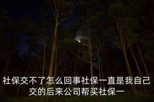 社保交不了怎么回事社保一直是我自己交的后來公司幫買社保一