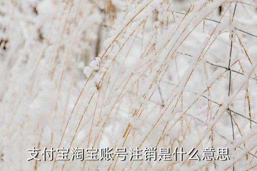 支付寶注銷什么意思，支付寶淘寶賬號注銷是什么意思
