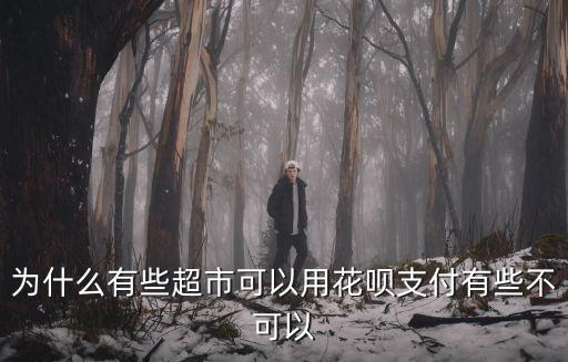 為什么有些超市可以用花唄支付有些不可以
