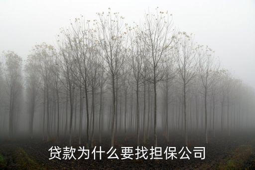 貸款為什么要找擔(dān)保公司