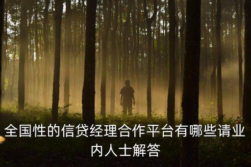 全國性的信貸經(jīng)理合作平臺有哪些請業(yè)內(nèi)人士解答