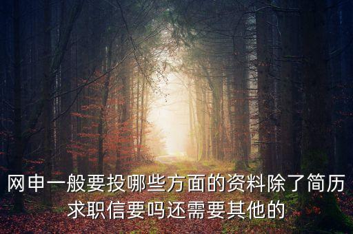 網(wǎng)申一般要投哪些方面的資料除了簡(jiǎn)歷求職信要嗎還需要其他的